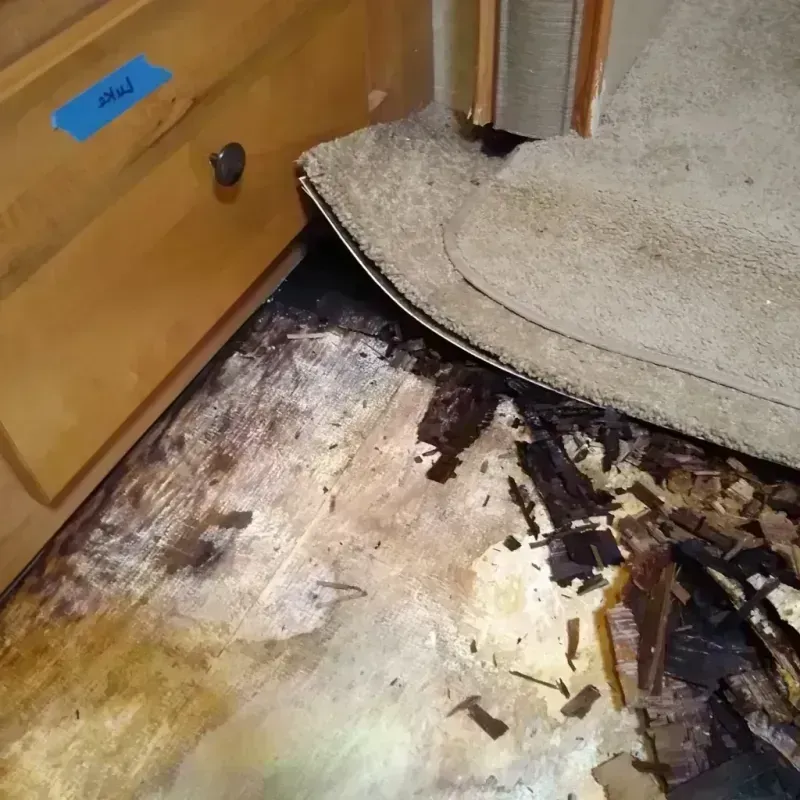 Wood Floor Water Damage in Wellston, OH